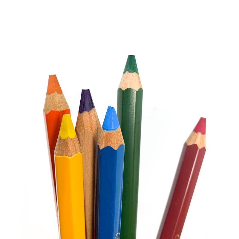 Lyra Colour Giants BASIC 6 Pencil Crayon Set