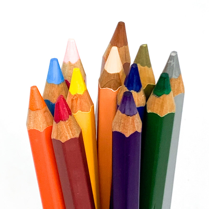 Daily Wonder GRADE 3 Homeschooling Bundle