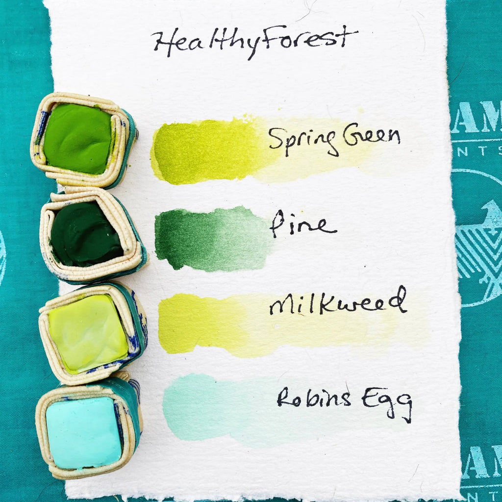 Beam Paints Healthy Forest Shell Gift Set