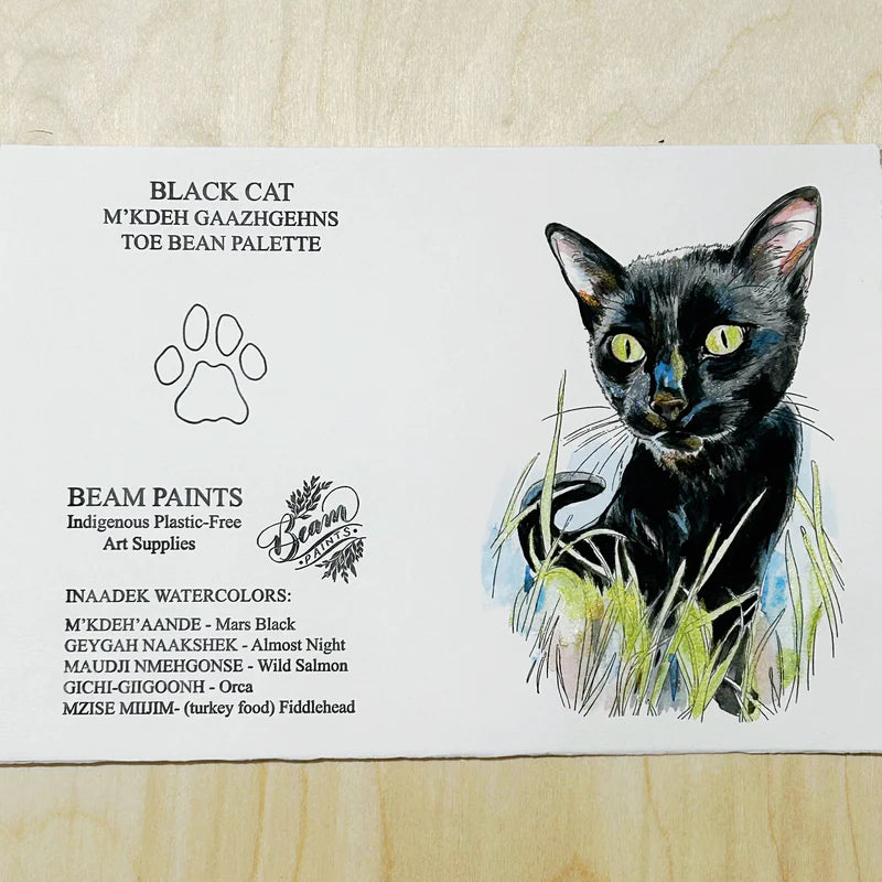 Beam Paints Paintables CAT COLLECTION