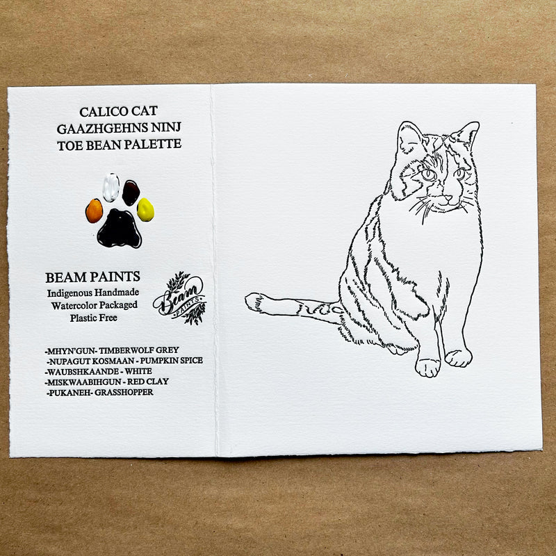 Beam Paints Paintables CAT COLLECTION