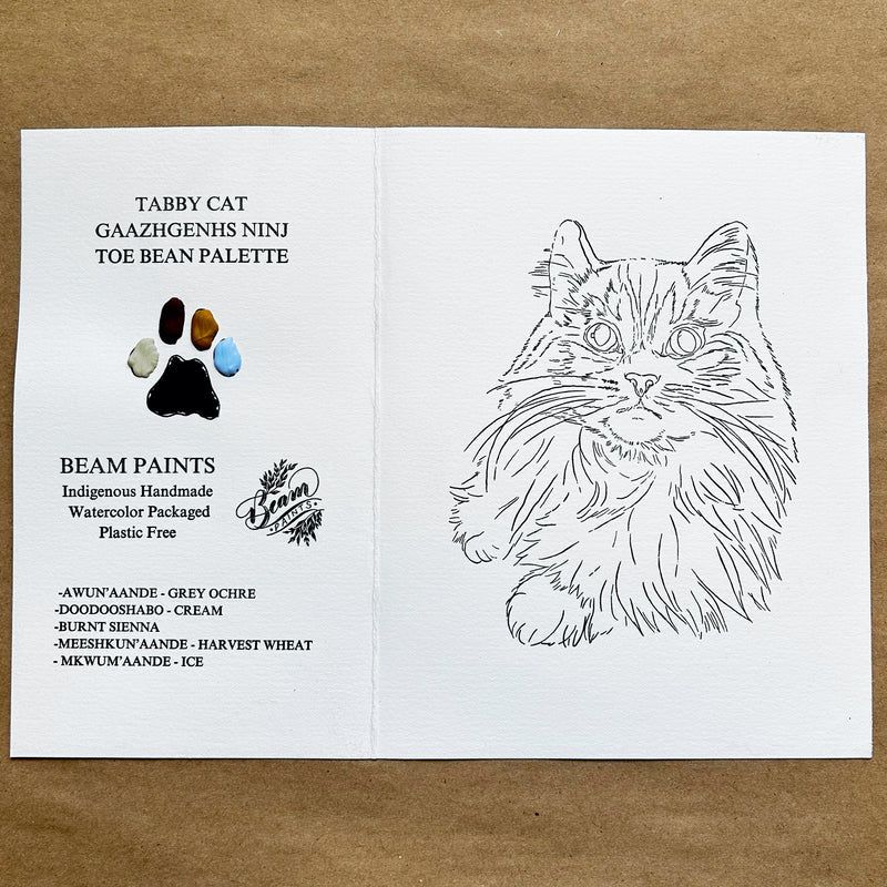 Beam Paints Paintables CAT COLLECTION