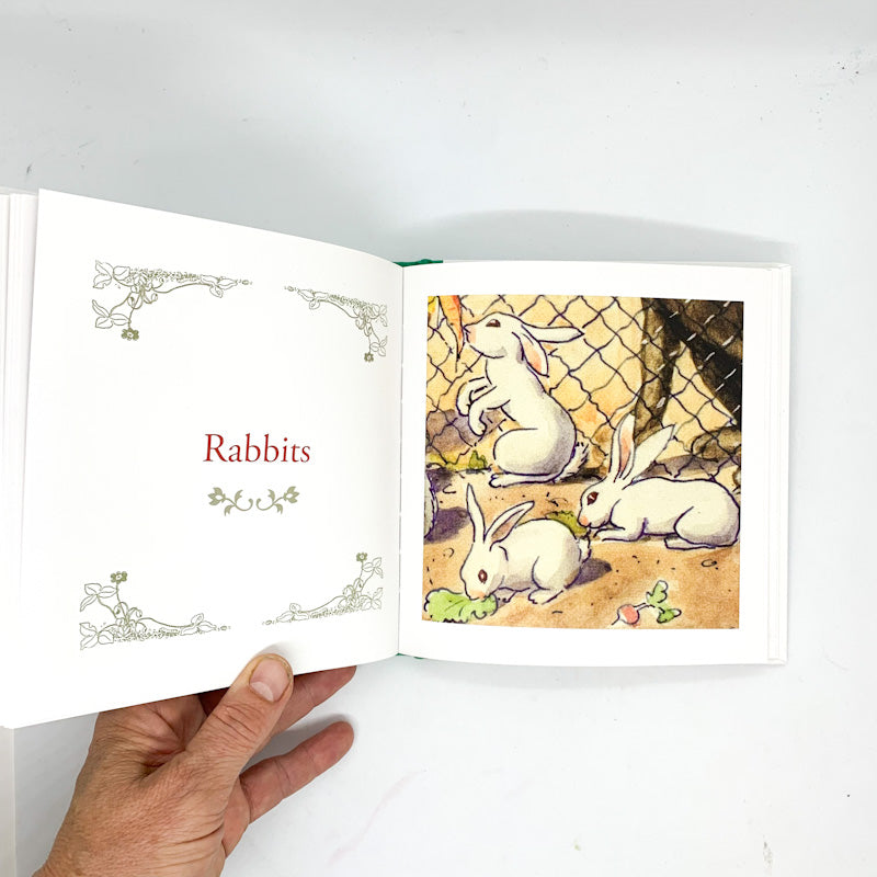 Elsa Beskow's ALPHABET BOOK