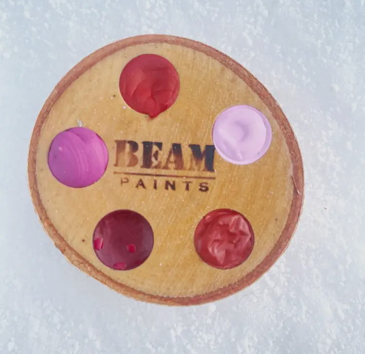 Beam Paints Full Spectrum Watercolour Pans In Birch