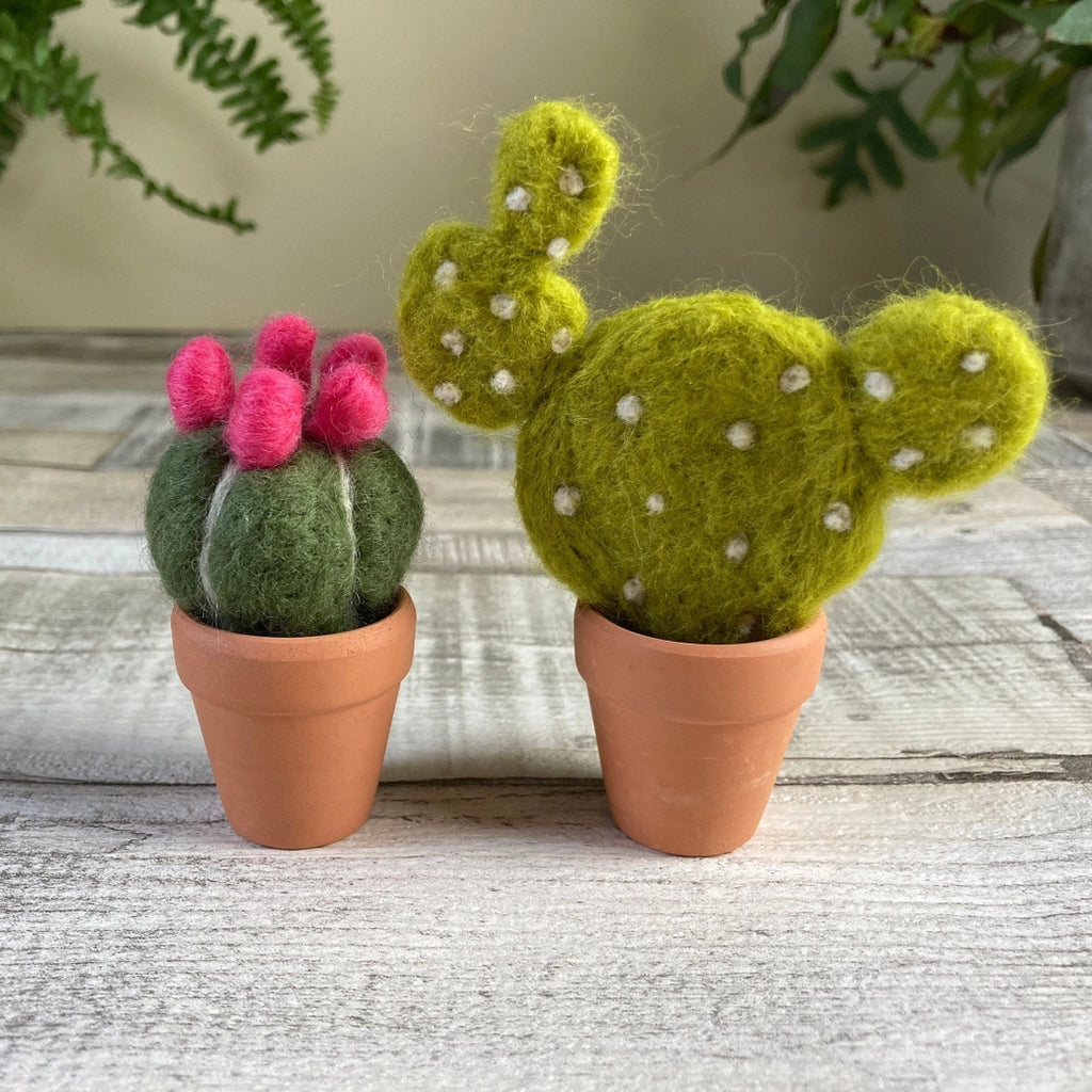 Bergin + Bath CACTI Beginner Needle Felting Kit