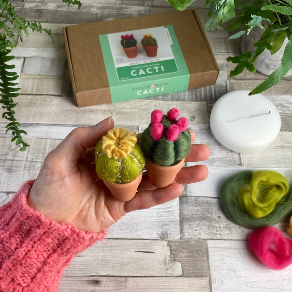 Bergin + Bath CACTI Beginner Needle Felting Kit