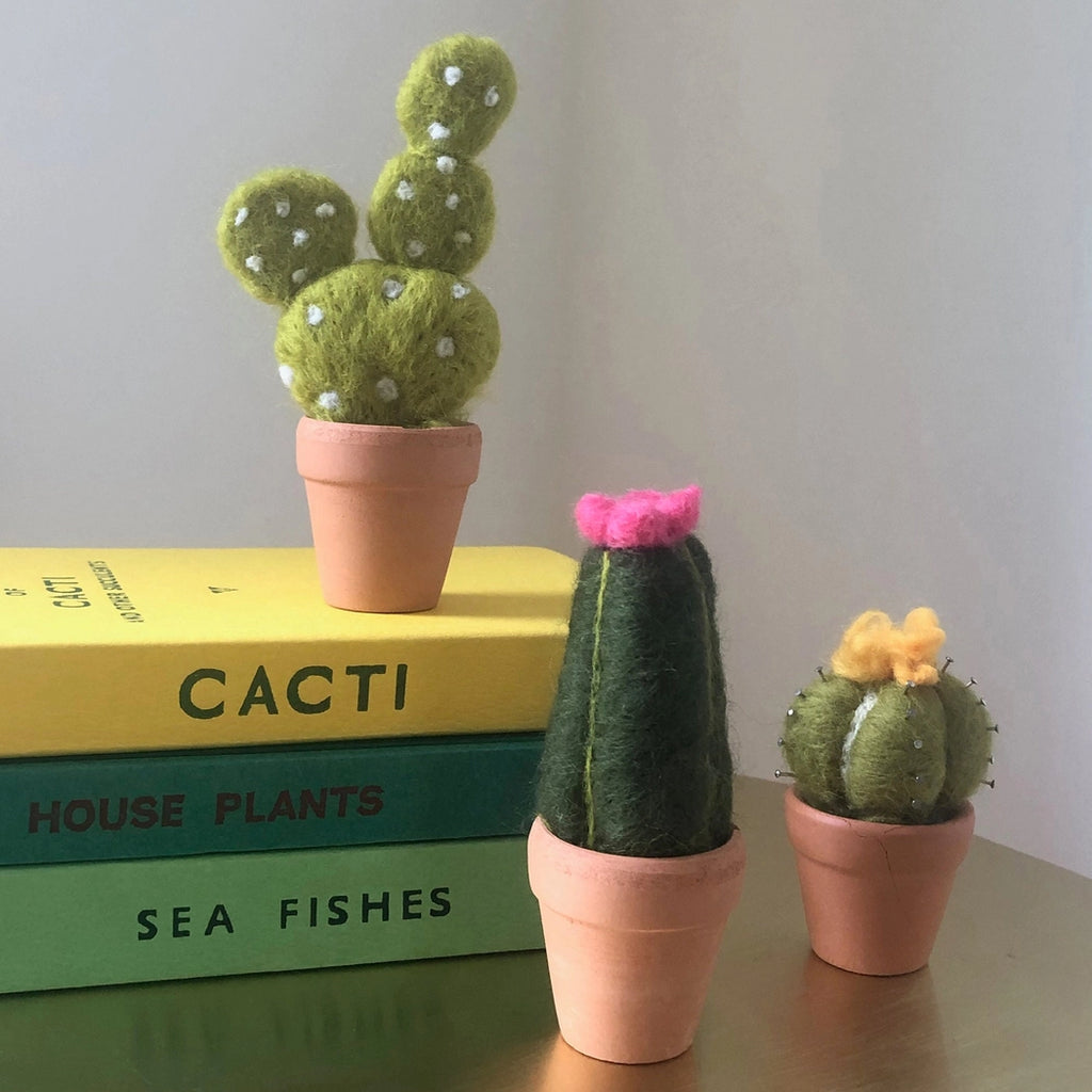 Bergin + Bath CACTI Beginner Needle Felting Kit
