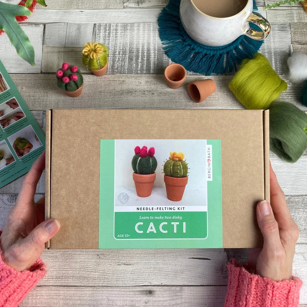 Bergin + Bath CACTI Beginner Needle Felting Kit
