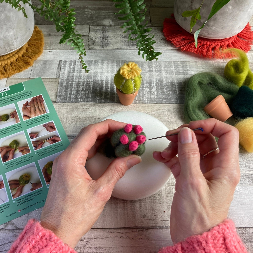 Bergin + Bath CACTI Beginner Needle Felting Kit