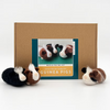 Bergin + Bath GUINEA PIGS Beginner Needle Felting Kit