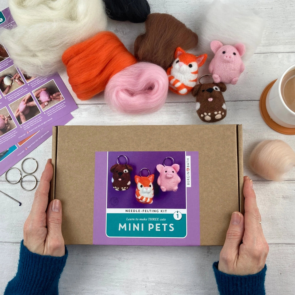 Bergin + Bath MINI PETS Beginner Needle Felting Kit