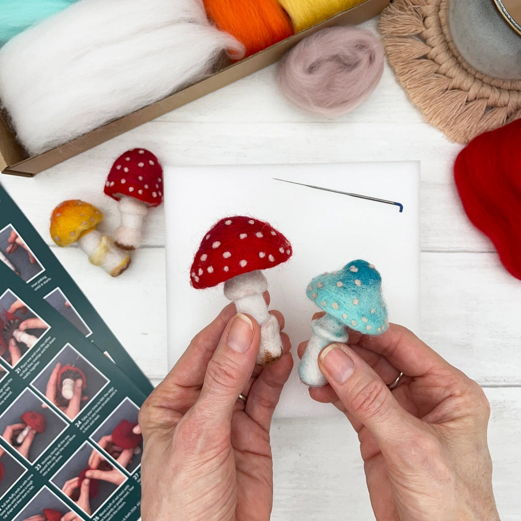 Bergin + Bath TOADSTOOLS Beginner Needle Felting Kit