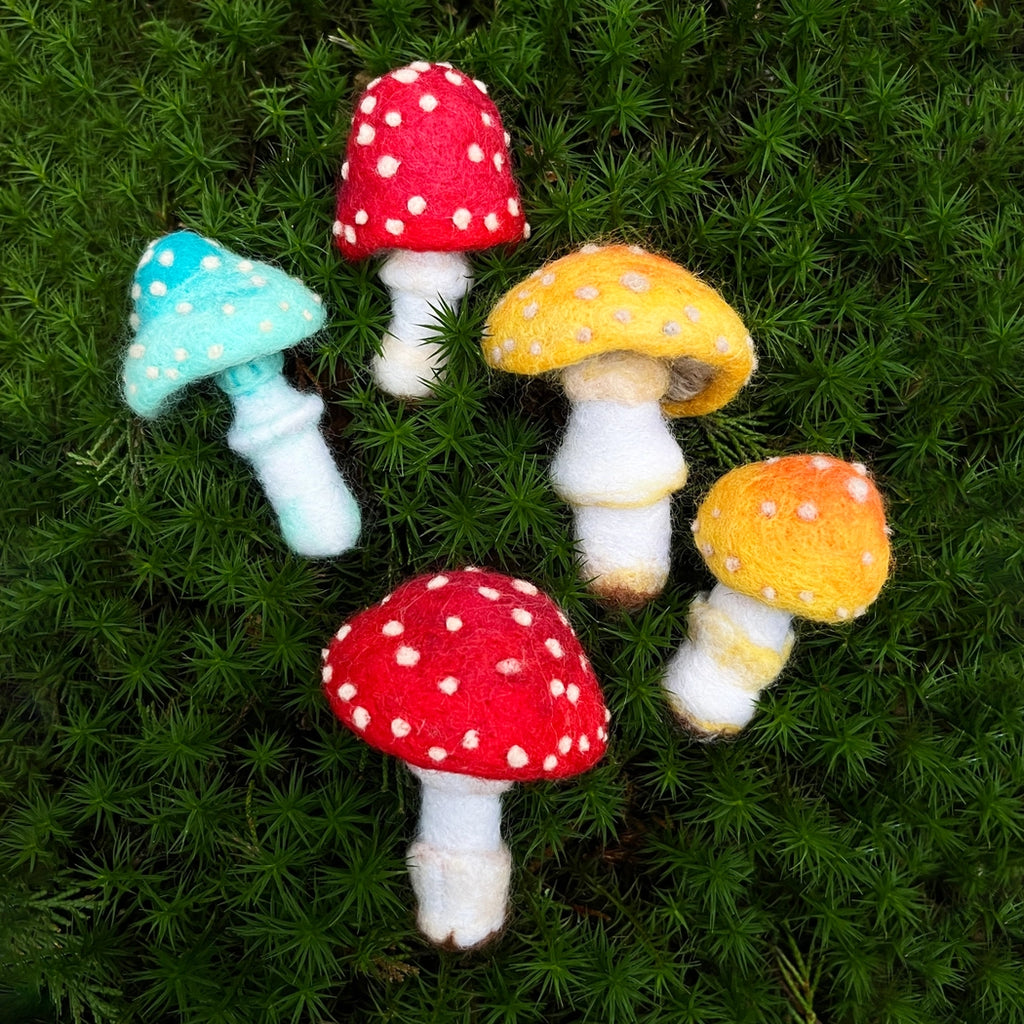 Bergin + Bath TOADSTOOLS Beginner Needle Felting Kit