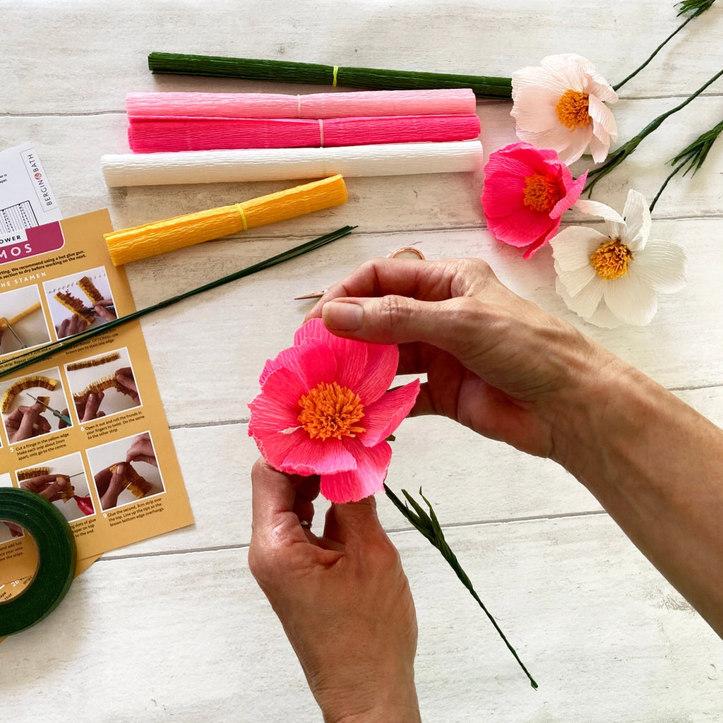 Bergin + Bath COSMOS Paper Flower Making Kit