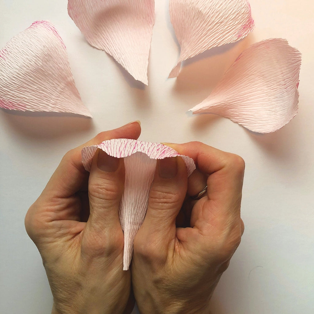 Bergin + Bath PEONY Paper Flower Making Kit