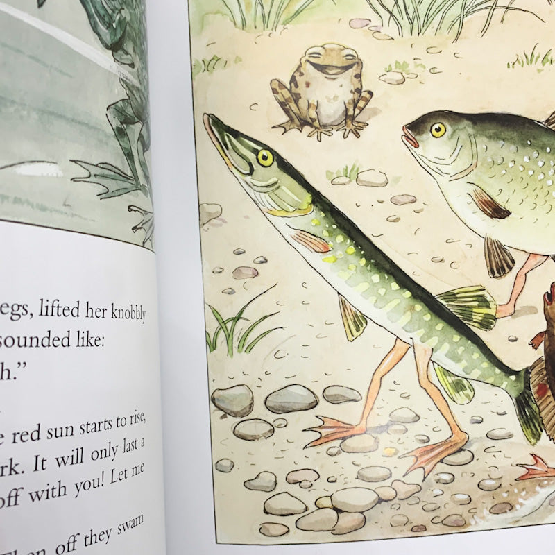 THE CURIOUS FISH By Elsa Beskow
