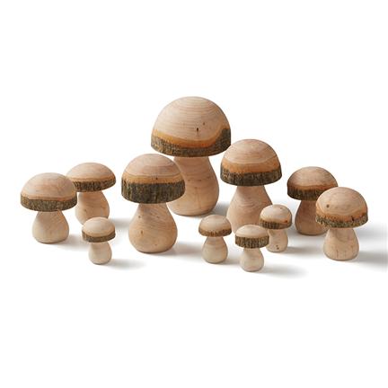 Magical Wooden TOADSTOOL Set