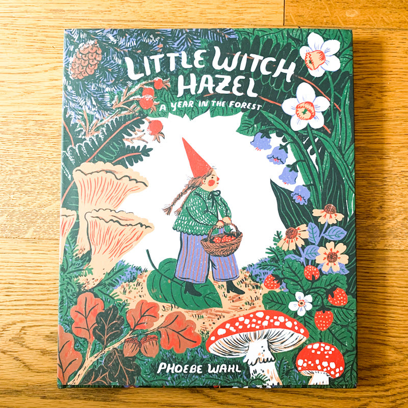 LITTLE WITCH HAZEL A Year In The Forest By Phoebe Wahl
