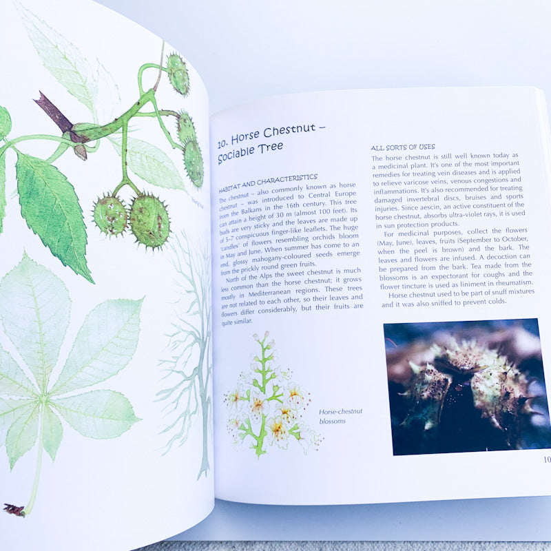 THE WONDER OF TREES Nature Activities For Children By Andrea Frommherz & Edith Biedermann