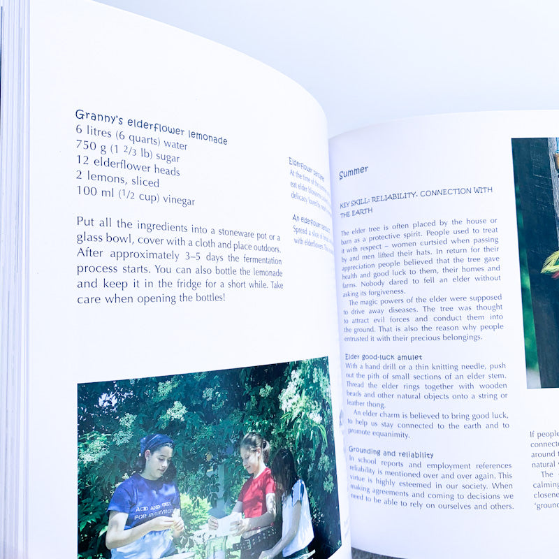 THE WONDER OF TREES Nature Activities For Children By Andrea Frommherz & Edith Biedermann